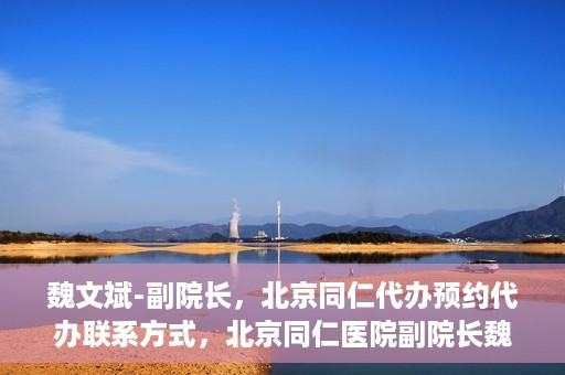 魏文斌-副院长，北京同仁代办预约代办联系方式，北京同仁医院副院长魏文斌，预约代办联系方式全解析