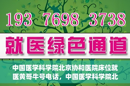 中国医学科学院北京协和医院床位就医黄哥牛号电话，中国医学科学院北京协和医院床位预约及就医咨询联系方式揭秘，黄哥牛号电话一览