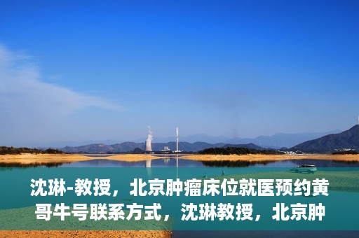 沈琳-教授，北京肿瘤床位就医预约黄哥牛号联系方式，沈琳教授，北京肿瘤床位预约热线及就医指南——黄哥牛号联系方式揭秘