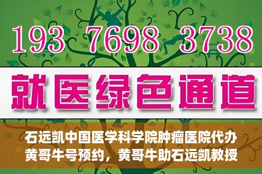 石远凯中国医学科学院肿瘤医院代办黄哥牛号预约，黄哥牛助石远凯教授预约挂号服务启动，中国医学科学院肿瘤医院便捷就医新通道开启
