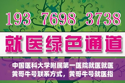 中国医科大学附属第一医院就医就医黄哥牛号联系方式，黄哥牛号就医指南，中国医科大学附属第一医院联系方式揭秘