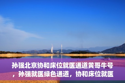 孙强北京协和床位就医通道黄哥牛号，孙强就医绿色通道，协和床位就医通道揭秘与黄哥牛号的力量