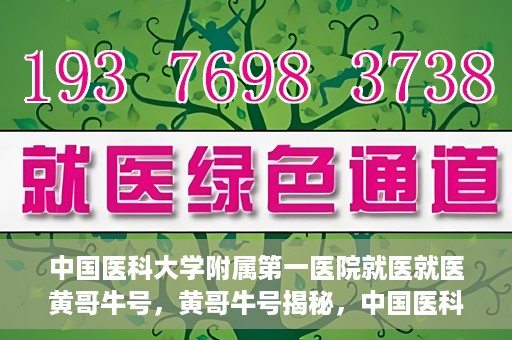 中国医科大学附属第一医院就医就医黄哥牛号，黄哥牛号揭秘，中国医科大学附属第一医院就医攻略与体验分享