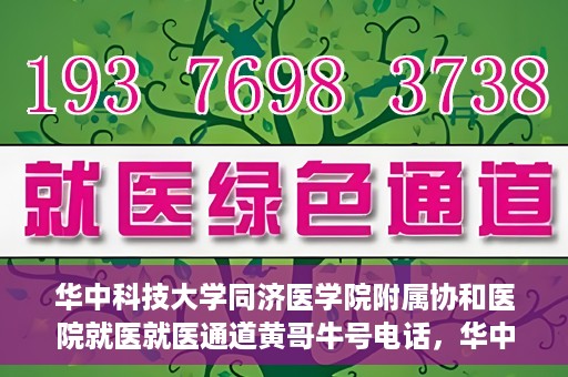 华中科技大学同济医学院附属协和医院就医就医通道黄哥牛号电话，华中科技大学同济医学院附属协和医院就医通道详解，黄哥牛号电话一键通预约就医服务