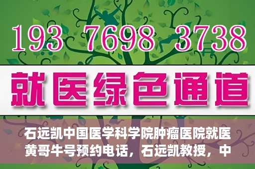 石远凯中国医学科学院肿瘤医院就医黄哥牛号预约电话，石远凯教授，中国医学科学院肿瘤医院就医攻略及黄哥牛号预约热线揭秘
