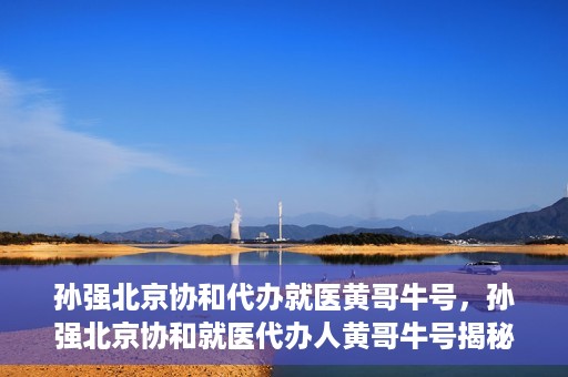 孙强北京协和代办就医黄哥牛号，孙强北京协和就医代办人黄哥牛号揭秘