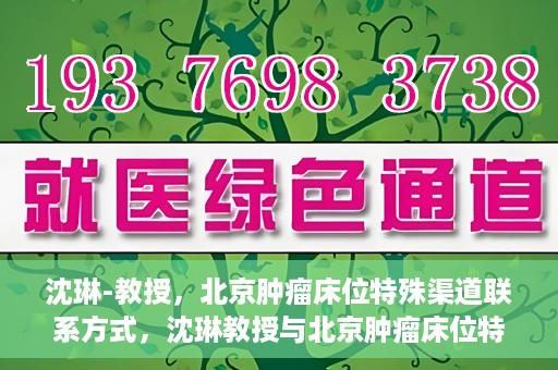 沈琳-教授，北京肿瘤床位特殊渠道联系方式，沈琳教授与北京肿瘤床位特殊渠道，权威解读与联系方式揭秘