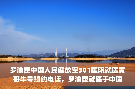 罗渝昆中国人民解放军301医院就医黄哥牛号预约电话，罗渝昆就医于中国人民解放军301医院，预约电话揭秘，黄哥牛号预约专线揭秘