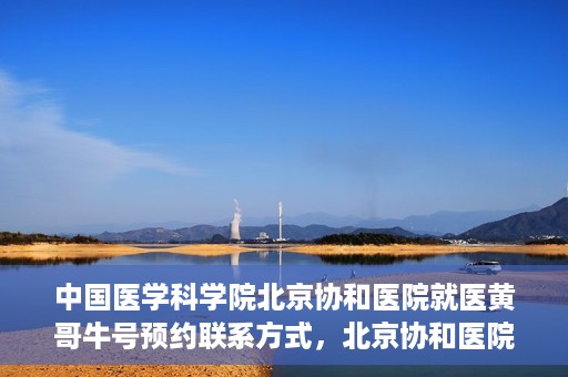 中国医学科学院北京协和医院就医黄哥牛号预约联系方式，北京协和医院黄哥牛号预约挂号联系方式揭秘，权威医学专家预约攻略