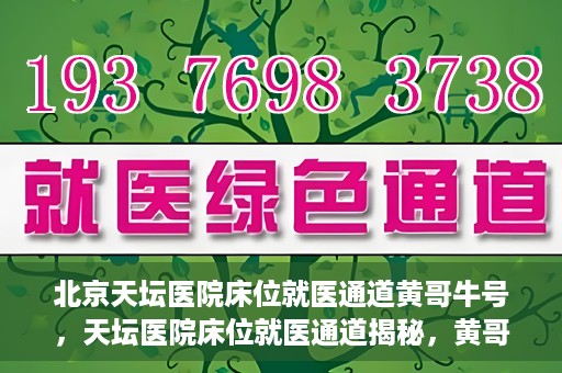 北京天坛医院床位就医通道黄哥牛号，天坛医院床位就医通道揭秘，黄哥牛号助您轻松就医