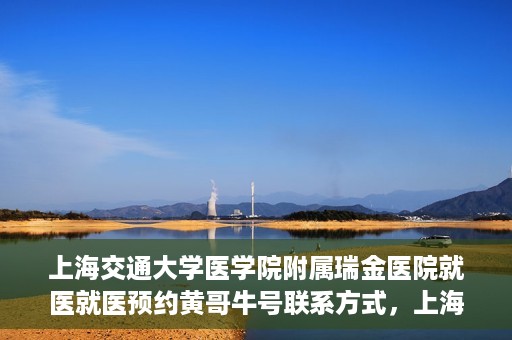 上海交通大学医学院附属瑞金医院就医就医预约黄哥牛号联系方式，上海交通大学医学院附属瑞金医院就医预约指南，黄哥牛号联系方式全解析