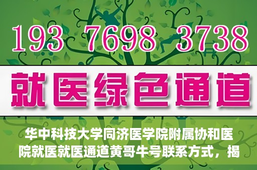 华中科技大学同济医学院附属协和医院就医就医通道黄哥牛号联系方式，揭秘华中科技大学同济医学院附属协和医院就医通道，黄哥牛号联系方式全解析