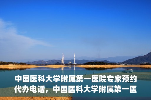 中国医科大学附属第一医院专家预约代办电话，中国医科大学附属第一医院专家预约挂号代办服务热线详解