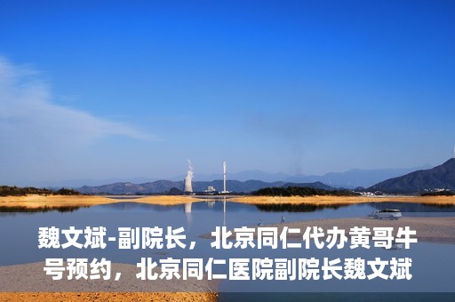 魏文斌-副院长，北京同仁代办黄哥牛号预约，北京同仁医院副院长魏文斌揭秘，黄哥牛号预约代办背后的故事