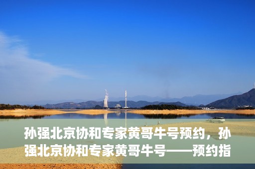 孙强北京协和专家黄哥牛号预约，孙强北京协和专家黄哥牛号——预约指南