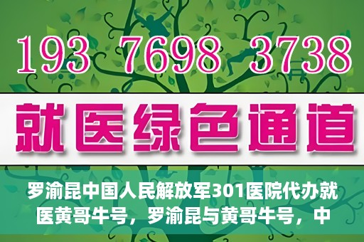 罗渝昆中国人民解放军301医院代办就医黄哥牛号，罗渝昆与黄哥牛号，中国人民解放军301医院就医代办服务解析
