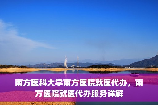 南方医科大学南方医院就医代办，南方医院就医代办服务详解