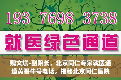 魏文斌-副院长，北京同仁专家就医通道黄哥牛号电话，揭秘北京同仁医院专家就医通道，魏文斌副院长与黄哥牛号电话背后的故事