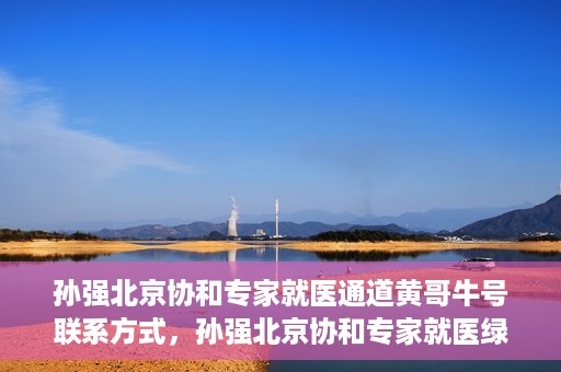 孙强北京协和专家就医通道黄哥牛号联系方式，孙强北京协和专家就医绿色通道，黄哥牛号联系方式揭秘