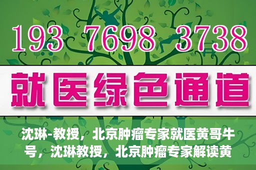 沈琳-教授，北京肿瘤专家就医黄哥牛号，沈琳教授，北京肿瘤专家解读黄哥牛号就医秘籍