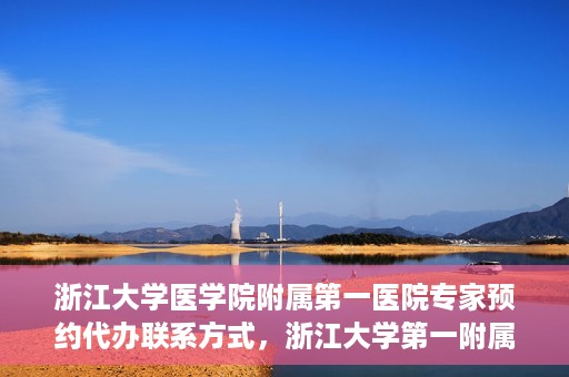 浙江大学医学院附属第一医院专家预约代办联系方式，浙江大学第一附属医院专家预约代办服务指南，快速便捷联系方式揭秘