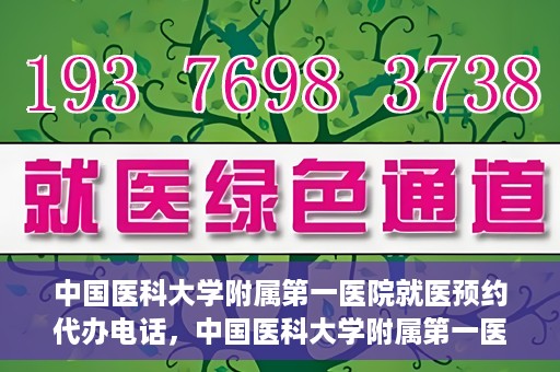 中国医科大学附属第一医院就医预约代办电话，中国医科大学附属第一医院就医预约代办服务热线详解