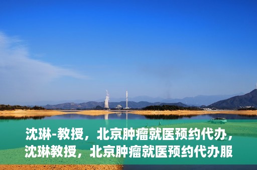 沈琳-教授，北京肿瘤就医预约代办，沈琳教授，北京肿瘤就医预约代办服务详解