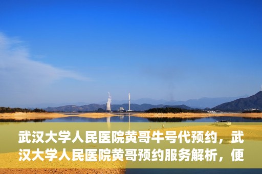 武汉大学人民医院黄哥牛号代预约，武汉大学人民医院黄哥预约服务解析，便捷医疗，牛号代预约新体验
