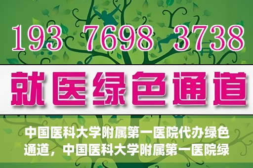中国医科大学附属第一医院代办绿色通道，中国医科大学附属第一医院绿色通道代办服务详解
