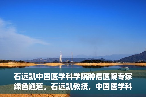 石远凯中国医学科学院肿瘤医院专家绿色通道，石远凯教授，中国医学科学院肿瘤医院专家开启绿色通道助力健康中国行