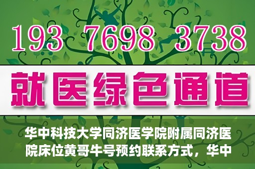 华中科技大学同济医学院附属同济医院床位黄哥牛号预约联系方式，华中科技大学同济医院床位预约联系方式及黄哥牛号预约攻略