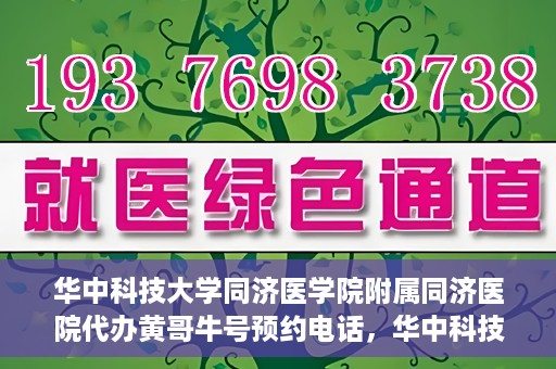 华中科技大学同济医学院附属同济医院代办黄哥牛号预约电话，华中科技大学同济医院黄哥牛号预约电话及代办服务解析
