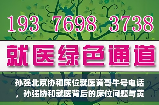 孙强北京协和床位就医黄哥牛号电话，孙强协和就医背后的床位问题与黄哥牛号电话揭秘