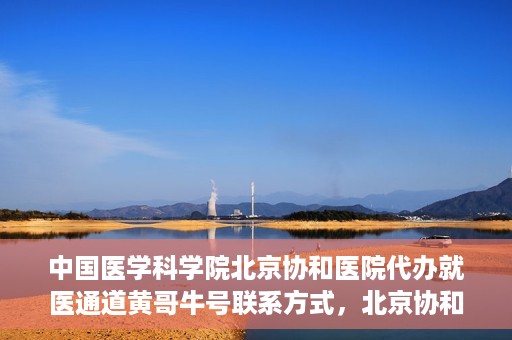 中国医学科学院北京协和医院代办就医通道黄哥牛号联系方式，北京协和医院代办就医通道，黄哥牛号联系方式揭秘
