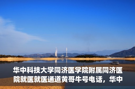 华中科技大学同济医学院附属同济医院就医就医通道黄哥牛号电话，华中科技大学同济医院就医通道详解，黄哥牛号电话一览无余