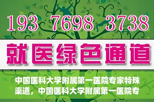 中国医科大学附属第一医院专家特殊渠道，中国医科大学附属第一医院专家特殊渠道揭秘，权威医疗资源的背后故事