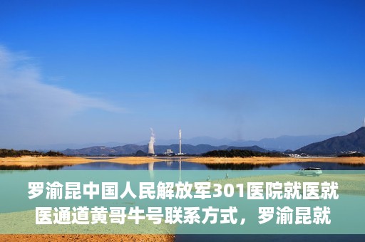 罗渝昆中国人民解放军301医院就医就医通道黄哥牛号联系方式，罗渝昆就医通道揭秘，中国人民解放军301医院黄哥牛号联系方式首度曝光