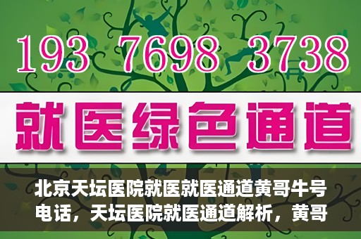 北京天坛医院就医就医通道黄哥牛号电话，天坛医院就医通道解析，黄哥牛号电话背后的就医故事