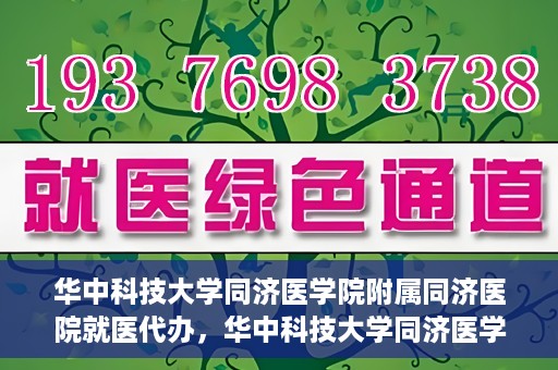 华中科技大学同济医学院附属同济医院就医代办，华中科技大学同济医学院附属同济医院就医代办服务详解