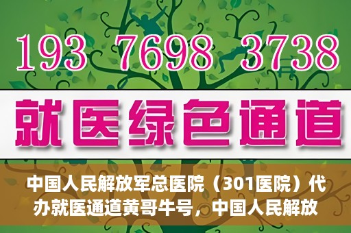 中国人民解放军总医院（301医院）代办就医通道黄哥牛号，中国人民解放军总医院（301医院）黄哥牛号就医通道代办服务解析