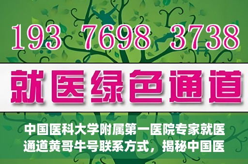 中国医科大学附属第一医院专家就医通道黄哥牛号联系方式，揭秘中国医科大学附属第一医院专家就医通道，黄哥牛号联系方式全解析