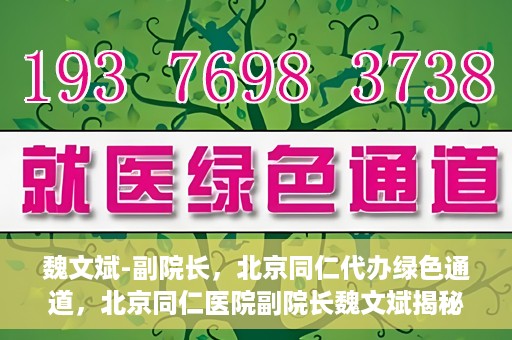 魏文斌-副院长，北京同仁代办绿色通道，北京同仁医院副院长魏文斌揭秘绿色通道代办服务