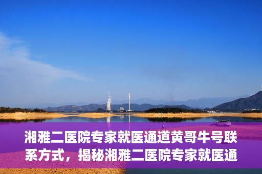 湘雅二医院专家就医通道黄哥牛号联系方式，揭秘湘雅二医院专家就医通道，黄哥牛号联系方式及专家服务详解