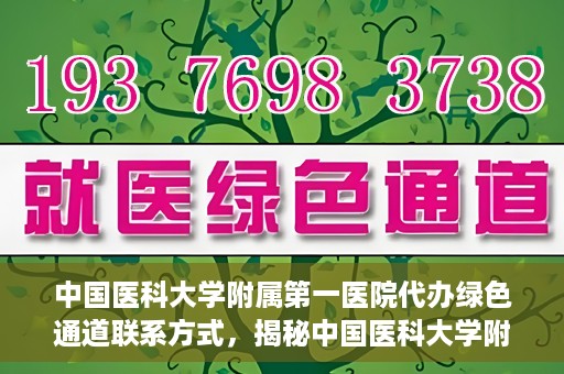 中国医科大学附属第一医院代办绿色通道联系方式，揭秘中国医科大学附属第一医院绿色通道代办联系方式，权威医疗资源的便捷通道！