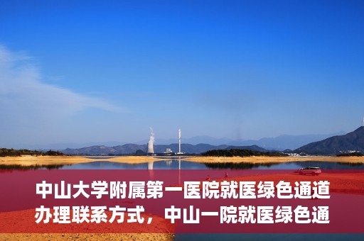 中山大学附属第一医院就医绿色通道办理联系方式，中山一院就医绿色通道办理指南，快速获取联系方式与流程解析