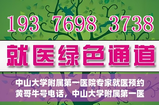 中山大学附属第一医院专家就医预约黄哥牛号电话，中山大学附属第一医院专家黄哥牛号预约电话，快速预约就医新通道揭秘