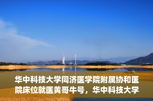 华中科技大学同济医学院附属协和医院床位就医黄哥牛号，华中科技大学同济医学院附属协和医院床位就医攻略，黄哥牛号助您轻松挂号就医