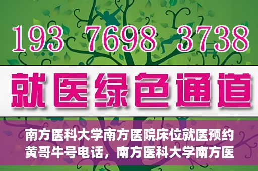 南方医科大学南方医院床位就医预约黄哥牛号电话，南方医科大学南方医院床位预约服务热线揭秘，黄哥牛号电话助您轻松就医