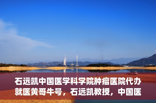 石远凯中国医学科学院肿瘤医院代办就医黄哥牛号，石远凯教授，中国医学科学院肿瘤医院就医攻略及黄哥牛号代办指南