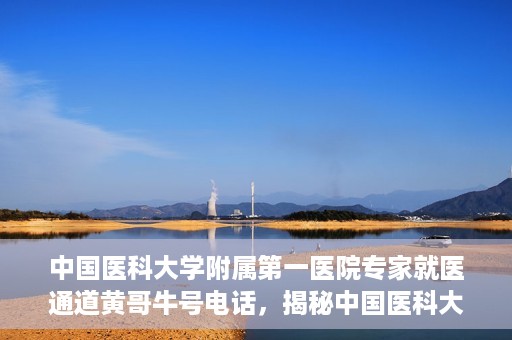 中国医科大学附属第一医院专家就医通道黄哥牛号电话，揭秘中国医科大学附属第一医院专家就医通道，黄哥牛号电话专线揭秘